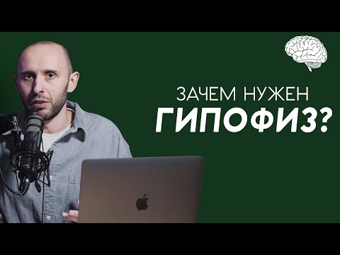 Видео: Что такое ГИПОФИЗ и где он живёт. Мозг, гормоны, щитовидка, аденома