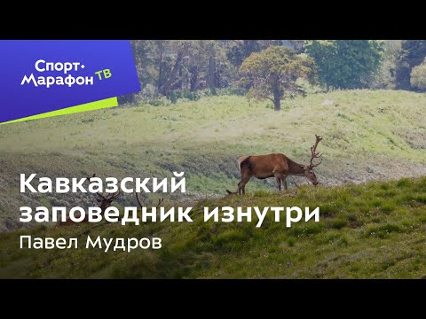 Видео: Кавказский заповедник изнутри. Павел Мудров