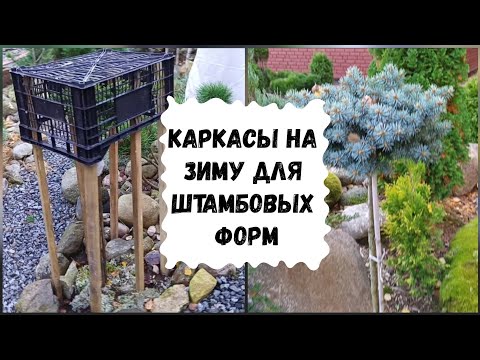 Видео: Каркасы на зиму для штамбовых форм.