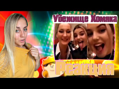 Видео: LIKE A BOSS COMPILATION #93 AMAZING Videos 2022 |РЕАКЦИЯ на  - Убежище Хомяка