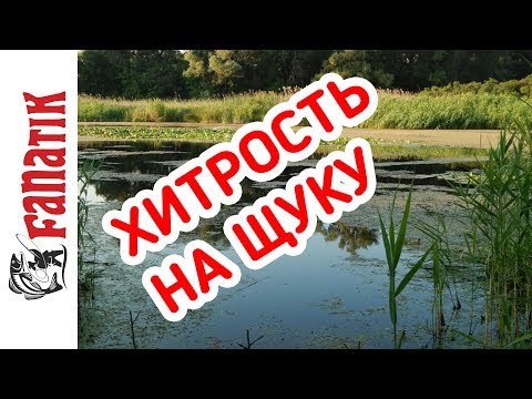 Видео: ХИТРАЯ СНАСТЬ НА ЩУКУ!!! НОВИНКА!