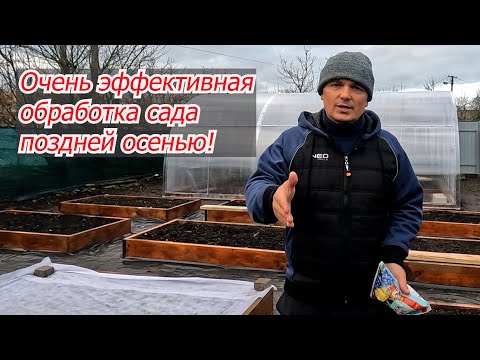 Видео: Классная искореняющая обработка сада поздней осенью- дёшево и эффективно!