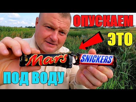 Видео: Что будет если опустить ШОКОЛАДНЫЕ БАТОНЧИКИ под воду?  Реакция рыбы. Подводная съёмка.