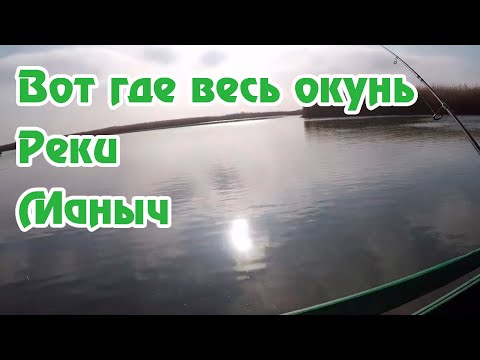 Видео: Вот где Окунь на Маныче / Рыбалка Маныч / Ловля на Спиннинг / Поселок Веселый / веселый Маныч /