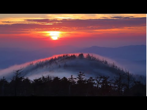 Видео: Очень Нежная, Трогательная, Изумительная музыка Для Расслабления! Достаточно просто послушать