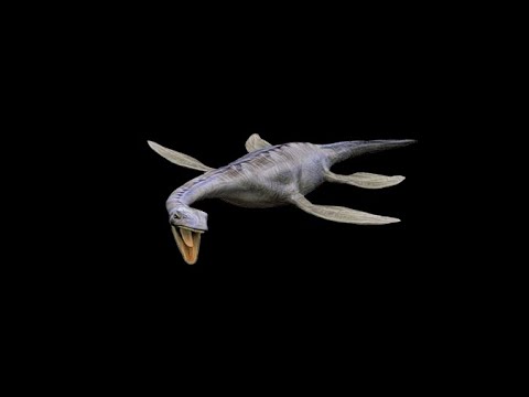 Видео: Русская рыбалка 3.99 | Турнир Лабынкырское Чудище