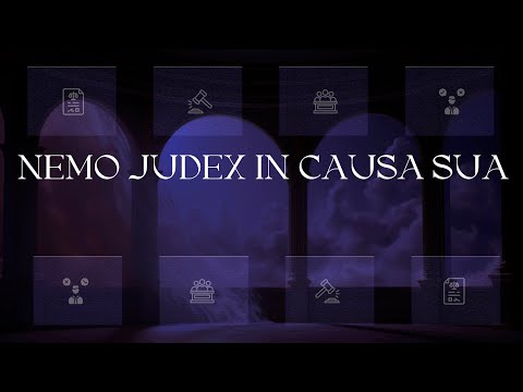 Видео: Принципы гражданского процессуального права