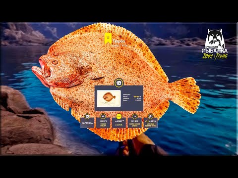 Видео: Русская рыбалка 4. 🎣🦈 Норвежское море 🧜‍♂️🐳 ЛОВЛЯ с БЕРЕГА 👀