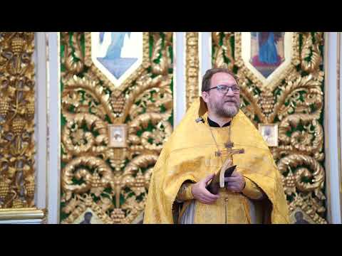 Видео: Среда 4 седмицы по Пятидесятнице/ Советы миссионерам