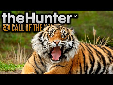 Видео: theHunter: Call of the Wild ► Sundarpatan Hunting Reserve - НОВАЯ КАРТА НЕПАЛ