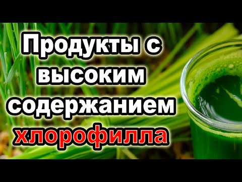 Видео: 🌿 Хлорофилл — ЧУДО ЭЛИКСИР здоровья! Удивительные ФАКТЫ! 😱