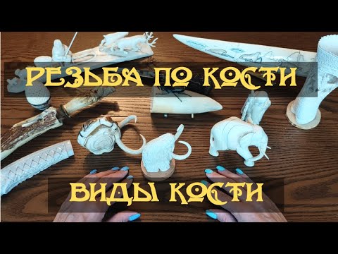Видео: #5 Резьба по кости | Виды кости: косуля, олень, лось, морж, слон, мамонт | Сколько стоят изделия