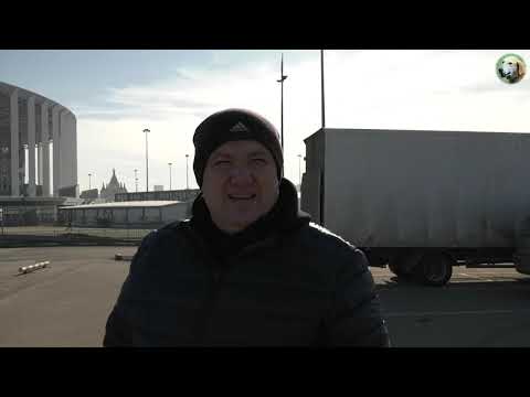 Видео: Нижегородская городская выставка охотничьих собак 2022г