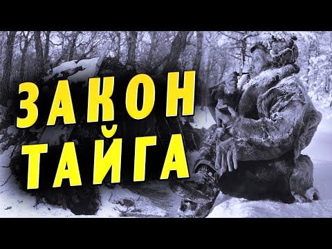 Видео: 💥ЗАКОН ТАЙГА (Окончание)" Карма обязательно настигнет"