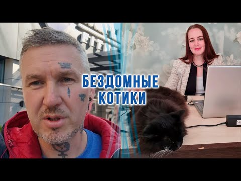 Видео: Сибиряк устроился тренером в фитнес зал Алматы. Кормим бездомных котиков. Сибиряки в Казахстане