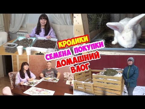 Видео: Домашний зимний ВЛОГ. Переделали крольчатник. Мои семена. Покупки для кухни и чаепитие с сырниками!