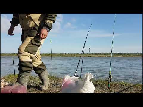 Видео: Рыбалка на Иртыше, новые места.