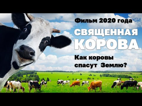 Видео: Фильм Священная корова 2020 - карнивор и кето диета!