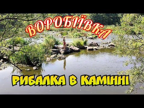 Видео: 3 ДНІ НА ПРИРОДІ, КЕМПІНГ ВОРОБІЇВСЬКИЙ, ВІДПОЧИНОК І РИБАЛКА НА РІЧЦІ ПІВДЕННИЙ БУГ