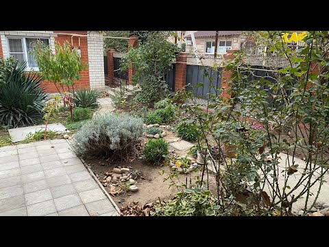 Видео: #Влог. Завтрак, прогулка по двору, море, кошки🌹🍁🍂🌊🐈🐈‍⬛