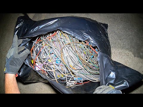 Видео: Ныряние в мусорном контейнере «Скажи им, что у меня его нет»