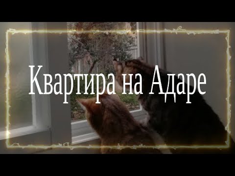 Видео: 25.Первая квартира в Израиле-Хайфа. Дешевый Адар.