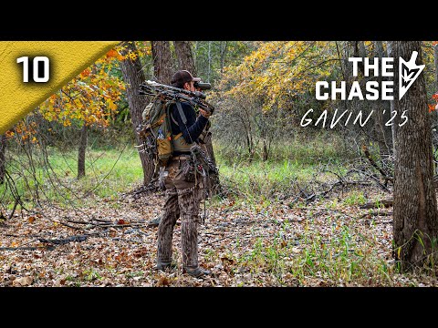 Видео: 11-6-25: Поиск идеальной воронки гона