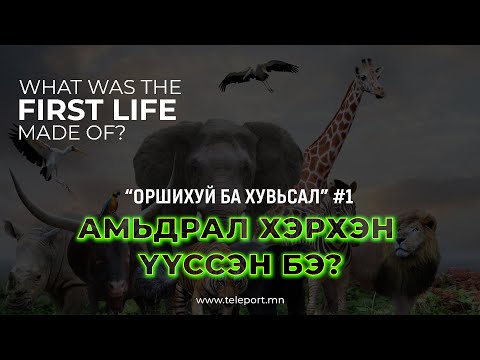 Видео: Амьдрал хэрхэн үүссэн бэ?