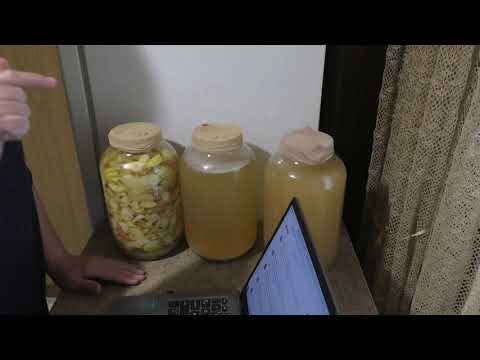 Видео: 🍎 ЯБЛОЧНЫЙ УКСУС✅ Как ПИТЬ  и ЗАЧЕМ ?✅ Чем полезен яблочный уксус?