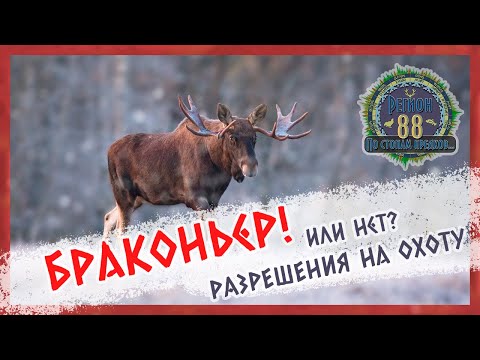 Видео: Регион 88 |  БРАКОНЬЕР или нет? РАЗРЕШЕНИЯ на ОХОТУ