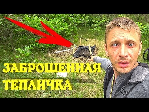 Видео: ЕДУ ПРОВЕРЯТЬ ТЕПЛИЧКУ НА ЗАБРОШЕННОМ УЧАСТКЕ!!!