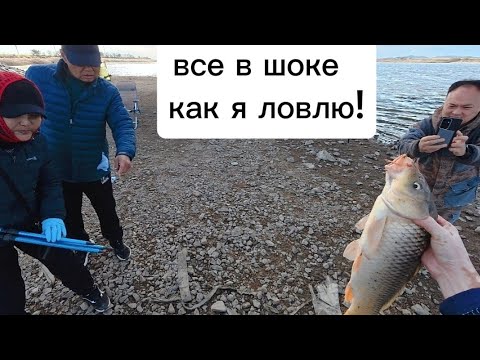 Видео: Сильный ветер, но сазан клюёт и клюёт. #fishing #낚시 #рыбалка #кино #automobile 