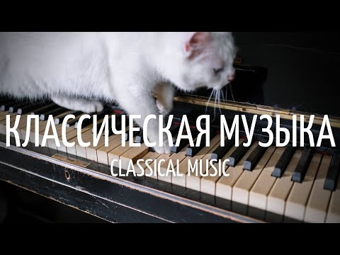 Видео: Классическая расслабляющая музыка | Инструментальная, спокойная музыка | Relax Music