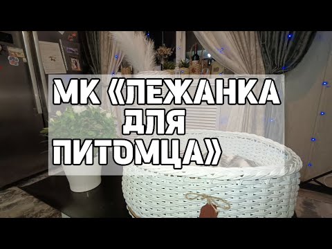 Видео: МК «ЛЕЖАНКА ДЛЯ ПИТОМЦА"