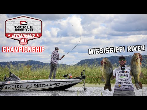 Видео: Лягушатник за 100 тысяч долларов! Чемпионат MLF на реке Миссисипи