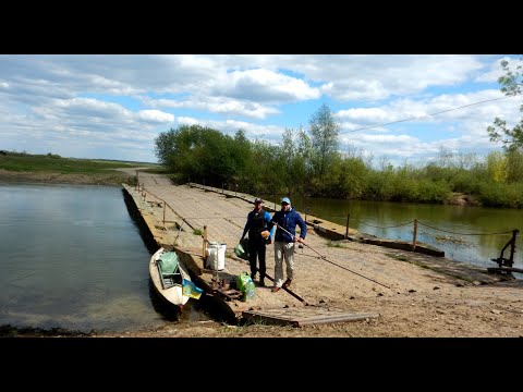 Видео: Сплав річка ГОРИНЬ Ремчиці - Смородськ - Городище