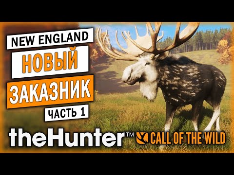 Видео: НОВЫЙ ЗАКАЗНИК! НОВОЕ ОРУЖИЕ И СКИНЫ! НОВЫЕ ЛОСИ И ОЛЕНИ! | theHunter Call of the Wild 🦊 | Часть #1