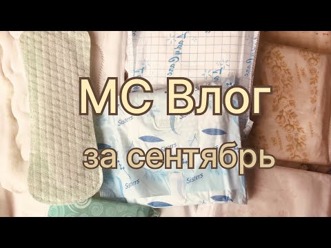 Видео: МС Влог за сентябрь 2023
