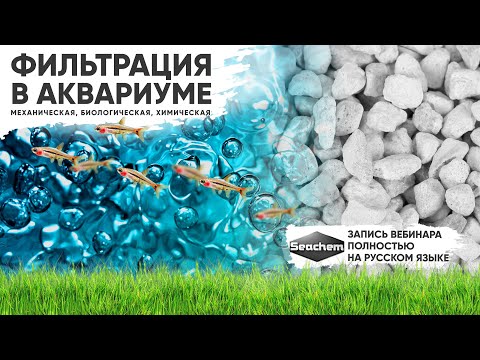 Видео: Фильтрация в аквариуме - химическая, биологическая, механическая