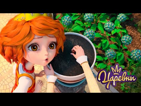 Видео: Царевны 👑 Грибы 🍄🍄🍄 Сборник мультиков для детей