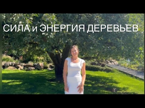 Видео: Сила и энергия деревьев