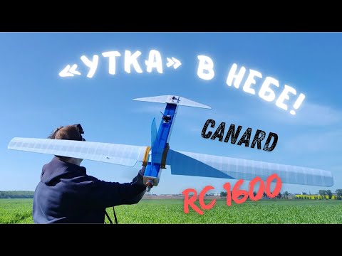 Видео: Canard RC 1600 / Сборка и первые полеты