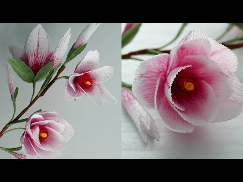 Видео: МАГНОЛИЯ из гофрированной бумаги/DIY
