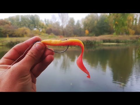 Видео: Щука БЕЗ УМА от УГРЯ! 🐟 Рыбалка на спиннинг, ловля на джиг в октябре