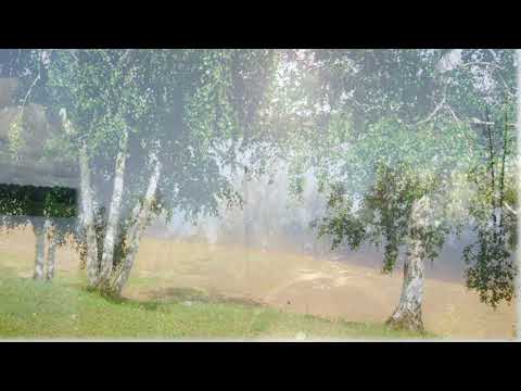 Видео: МАХТАЛ ДЬҮҺҮЛГЭНЭ