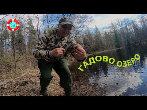 Видео: Рыбалка в черте города Саров(ГАДОВО ОЗЕРО)