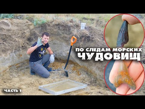 Видео: Этим находкам 100 миллионов лет | Большая экспедиция по следам морских чудовищ | Часть 1
