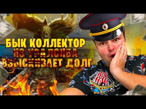 Видео: Бык коллектор из Уралсиба взыскивает долг и огребает по полной. Как списать долги по кредитам 2024