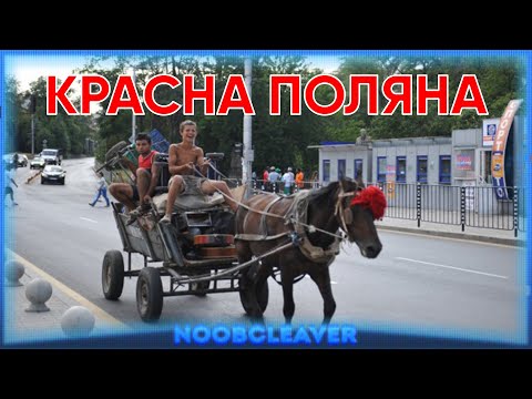 Видео: Наръчник: Как да оцелеем в Красна Поляна !!!