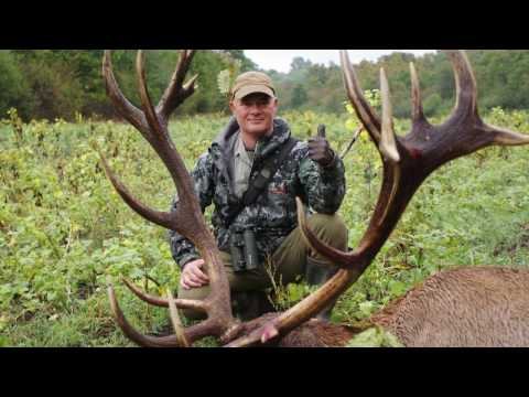 Видео: Лов на елени, ловна хижа зли дол, част 2